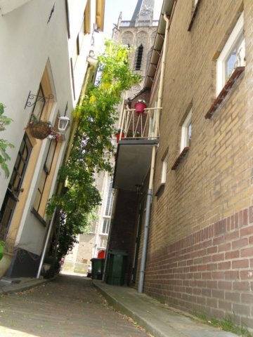 HWK 2012 289.jpg